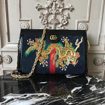 gucci ophidia bag CohotBag