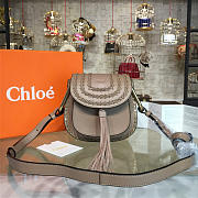 CohotBag chole handbag 5462 - 6