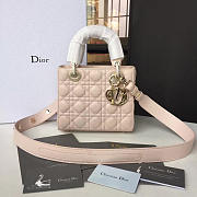 CohotBag lady dior 1624 - 1