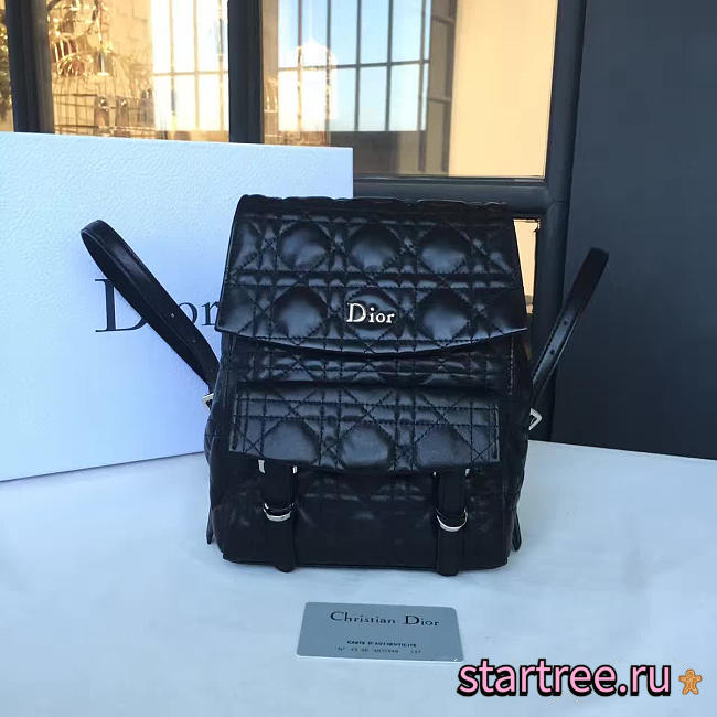 CohotBag dior backpack - 1