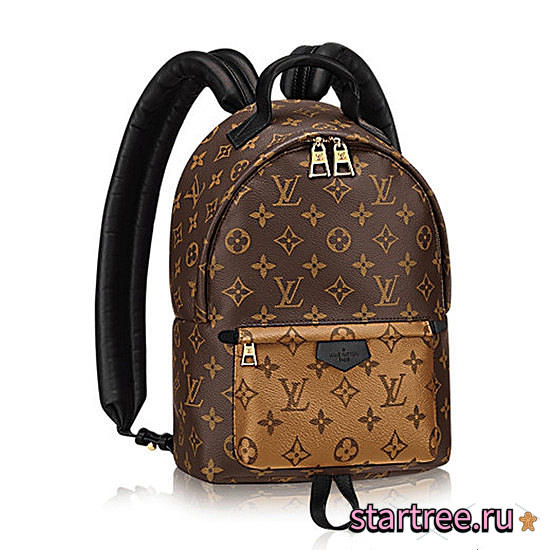 Louis Vuitton | Palm Springs Backpack Pm Monogram M43116 - 1