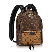 Louis Vuitton | Palm Springs Backpack Pm Monogram M43116 - 1