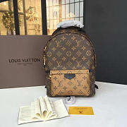 Louis Vuitton | Palm Springs Backpack Pm Monogram M43116 - 6