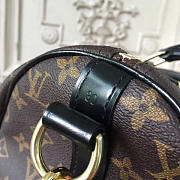 Louis Vuitton Speedy  World Tour - 30cm x 16cm x 21cm - 6