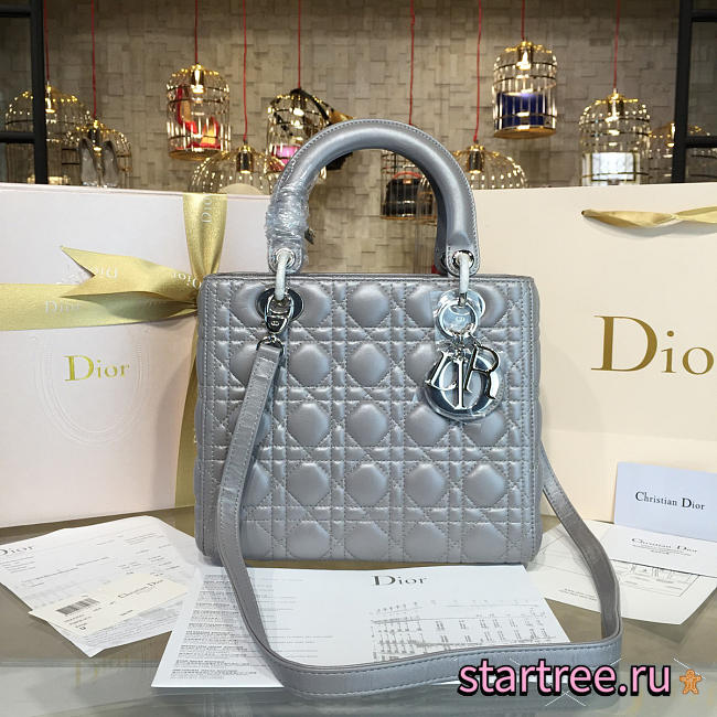 CohotBag lady dior 1640 - 1