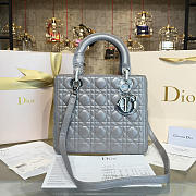 CohotBag lady dior 1640 - 1