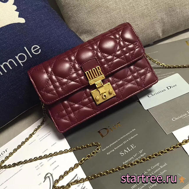 CohotBag dior woc - 1