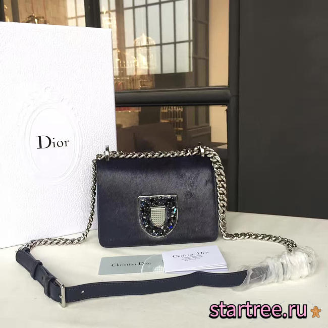 CohotBag dior handbag - 1