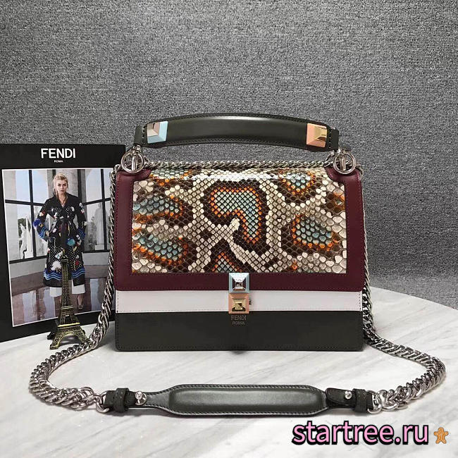 CohotBag fendi kani 2016 - 1