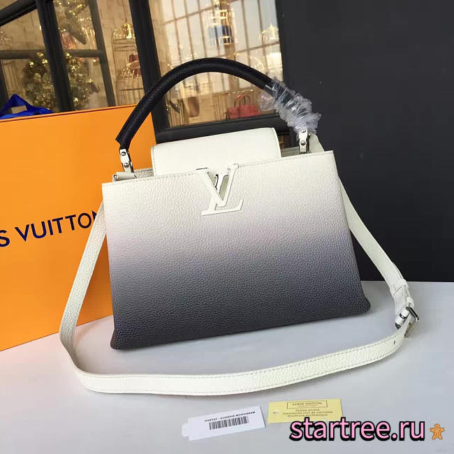  louis vuitton capucines CohotBag pm 3458 - 1