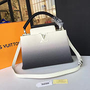  louis vuitton capucines CohotBag pm 3458 - 1