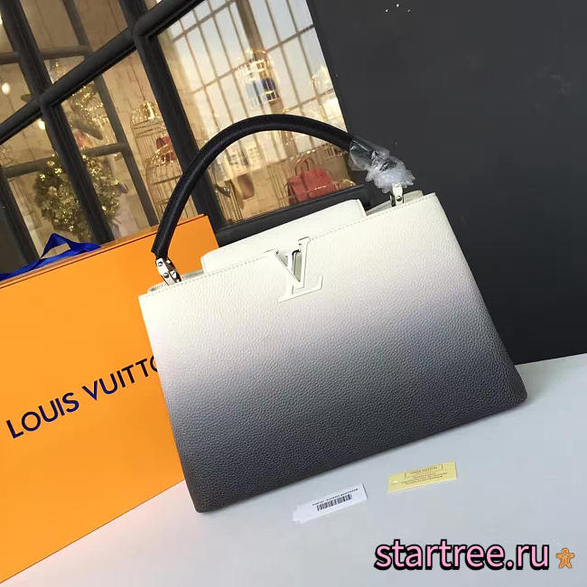  louis vuitton capucines CohotBag  mm 3464 - 1