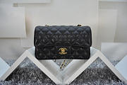 Chanel Caviar Leather Flap Bag With Gold/Silver Hardware Black 20cm - 2