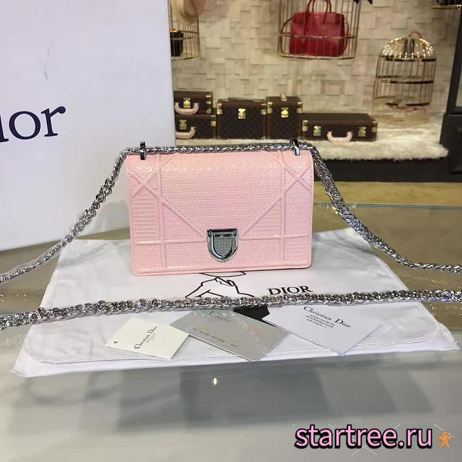 CohotBag dior ama 1761 - 1