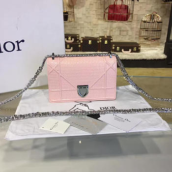 CohotBag dior ama 1761