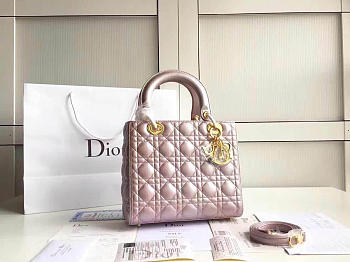 CohotBag lady dior 1564