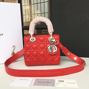 CohotBag lady dior 1627