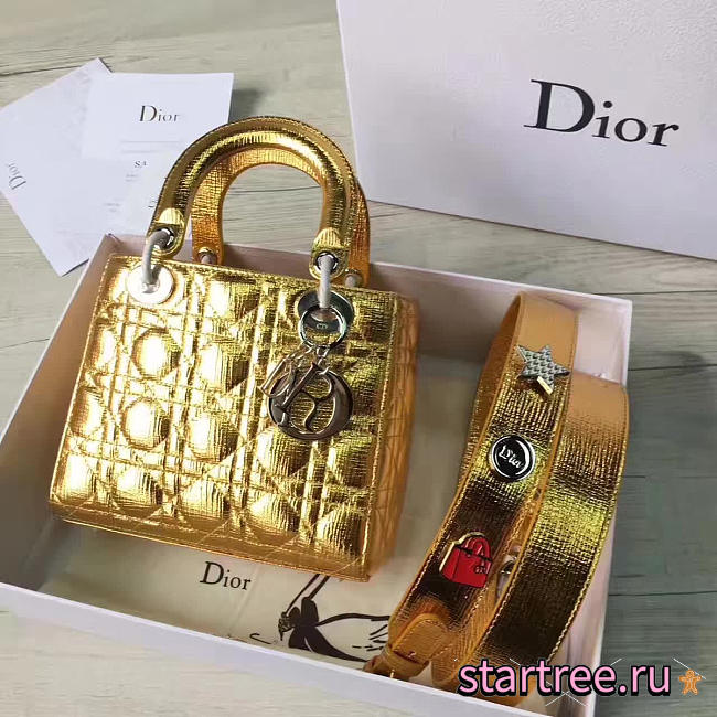 CohotBag dior lady - 1