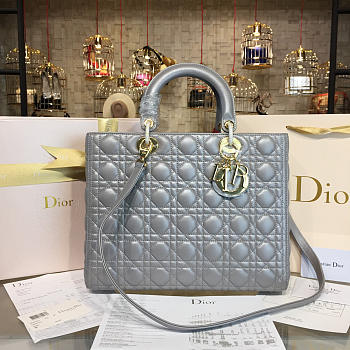 CohotBag lady dior 1646