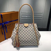  louis vuitton propriano CohotBag - 3