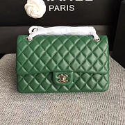 Chanel Lambskin Classic Flap Bag Green A01112 - 25cm - 6