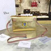 CohotBag dior ever 1537 - 1