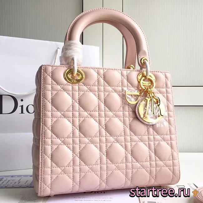 CohotBag lady dior 1570 - 1