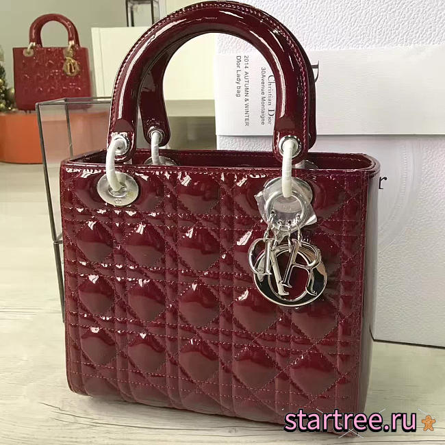 CohotBag lady dior 1607 - 1