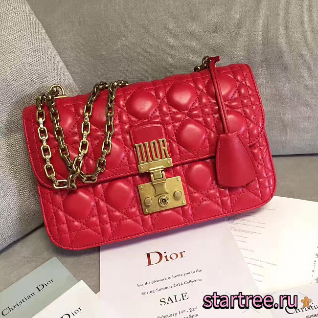 CohotBag dioraddict 1674 - 1