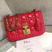 CohotBag dioraddict 1674 - 1