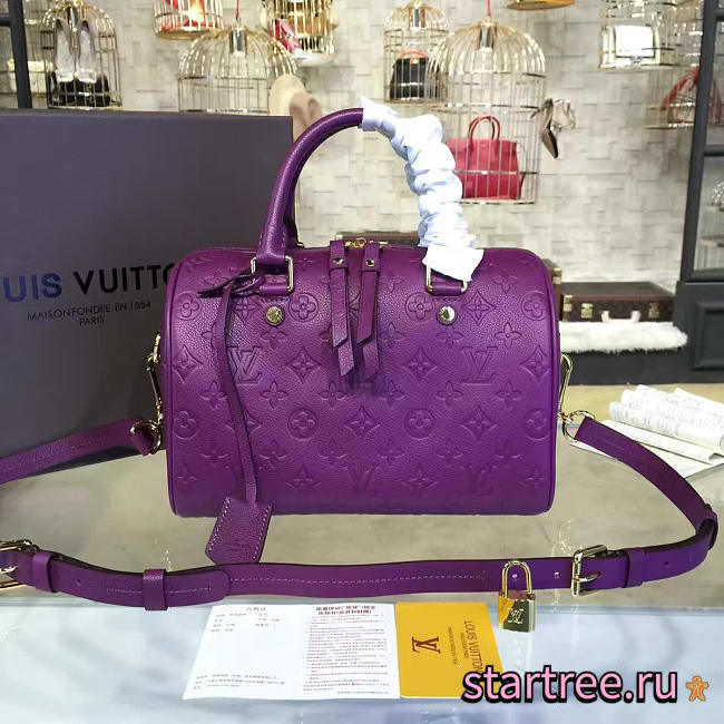 Louis Vuitton speedy bandoulière 25 3209 - 1