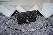 Chanel Lambskin Leather Flap Bag With Gold/Silver Hardware Black 20cm  - 6