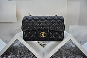 Chanel Lambskin Leather Flap Bag With Gold/Silver Hardware Black 20cm  - 2