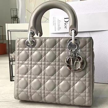 CohotBag lady dior 1576