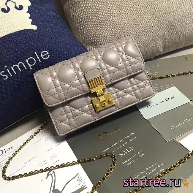 CohotBag dior woc 1678 - 1