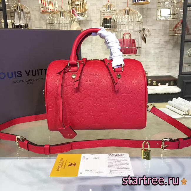 Louis Vuitton speedy bandoulière 25 3207 - 1