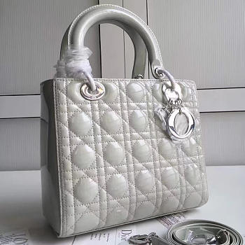 CohotBag lady dior 1618