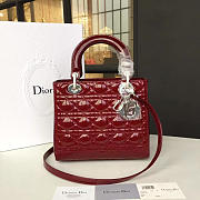 CohotBag lady dior 1625 - 1