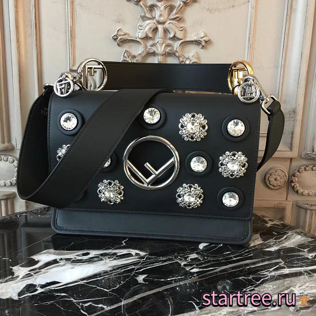 CohotBag fendi kani 2005 - 1