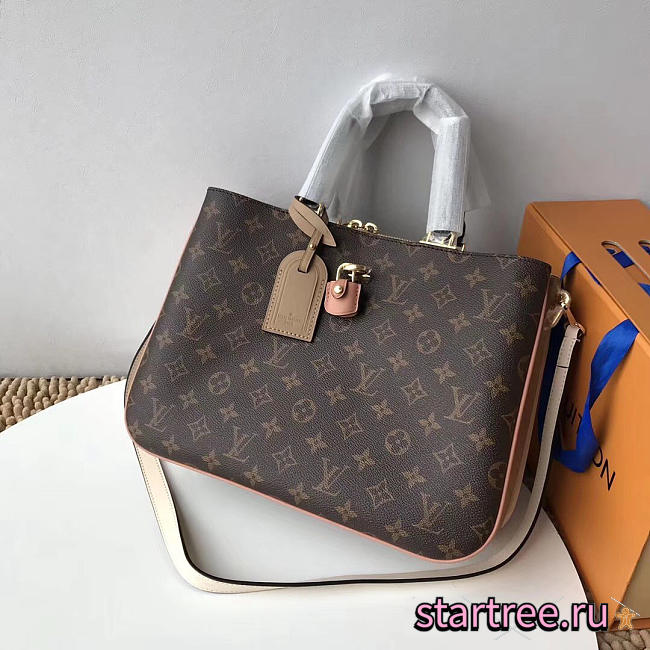  louis vuitton saint CohotBag onge millefeuille camera shoulder bag m44255  - 1