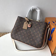  louis vuitton saint CohotBag onge millefeuille camera shoulder bag m44255  - 1