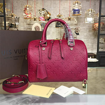 Louis Vuitton Speedy Bandoulière 25 