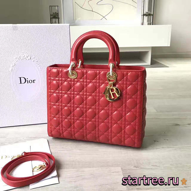 CohotBag lady dior 1565 - 1