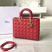 CohotBag lady dior 1565 - 1