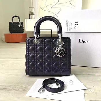 CohotBag lady dior 1581