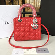 CohotBag lady dior 1619 - 1