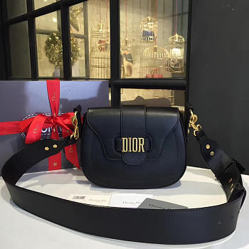 CohotBag dior fence 1762