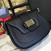 CohotBag dior fence 1762 - 5