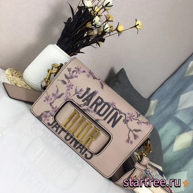 CohotBag dior evolution bag 1797 - 1