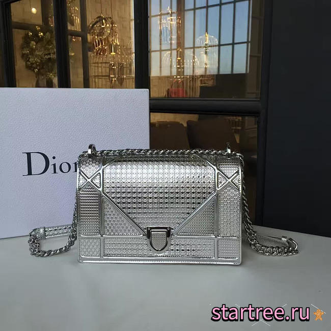 CohotBag dior ama 1770 - 1